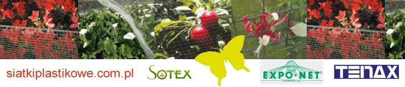 Main page